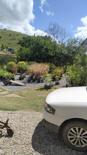 Melhores Hotéis que Aceitam Pets em Ilha Brava, Minas Gerais 2025