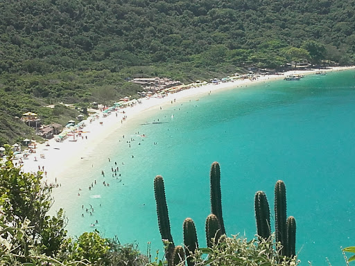 Melhores Hotéis que Aceitam Pets em Arraial do Cabo, Rio de Janeiro 2025