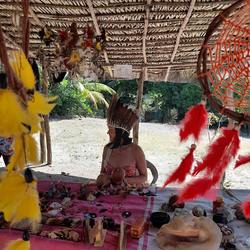 Melhores Hotéis que Aceitam Pets em Mataraca, Paraíba 2025