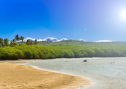 Melhores Hotéis que Aceitam Pets em Conde, Bahia 2025