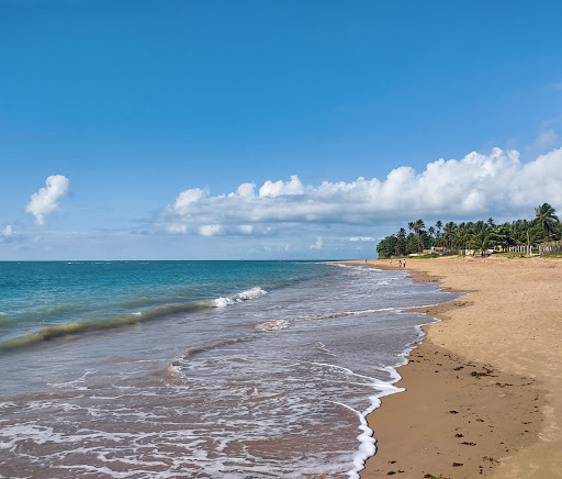 Melhores Hotéis que Aceitam Pets em Barra Grande, Ilha de Itaparica 2025